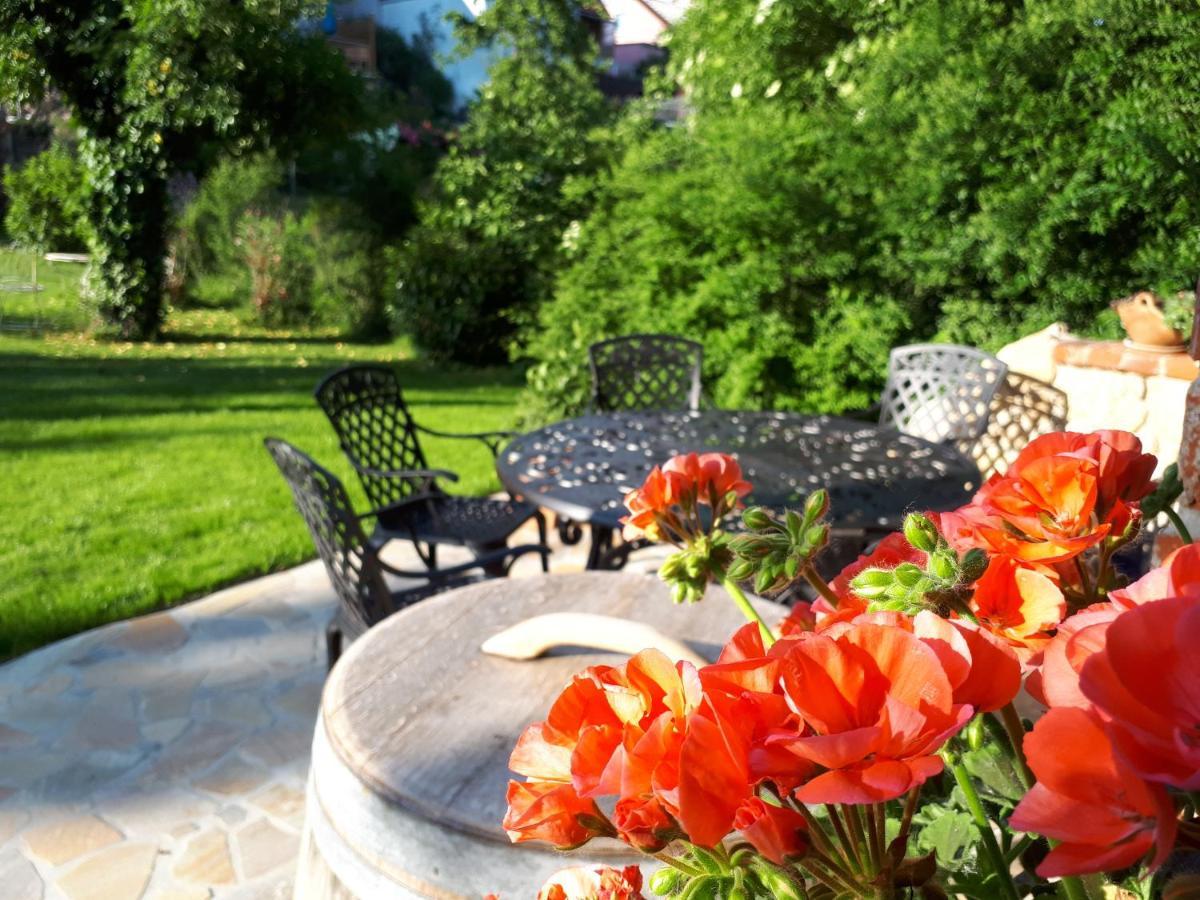 Pension Am Weinberg Bed & Breakfast Mainstockheim Zewnętrze zdjęcie