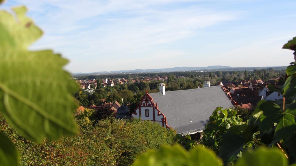Pension Am Weinberg Bed & Breakfast Mainstockheim Zewnętrze zdjęcie